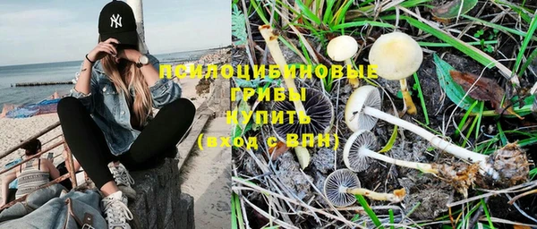 MDMA Беломорск