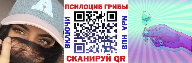 сколько стоит  Валуйки  Псилоцибиновые грибы Magic Shrooms 